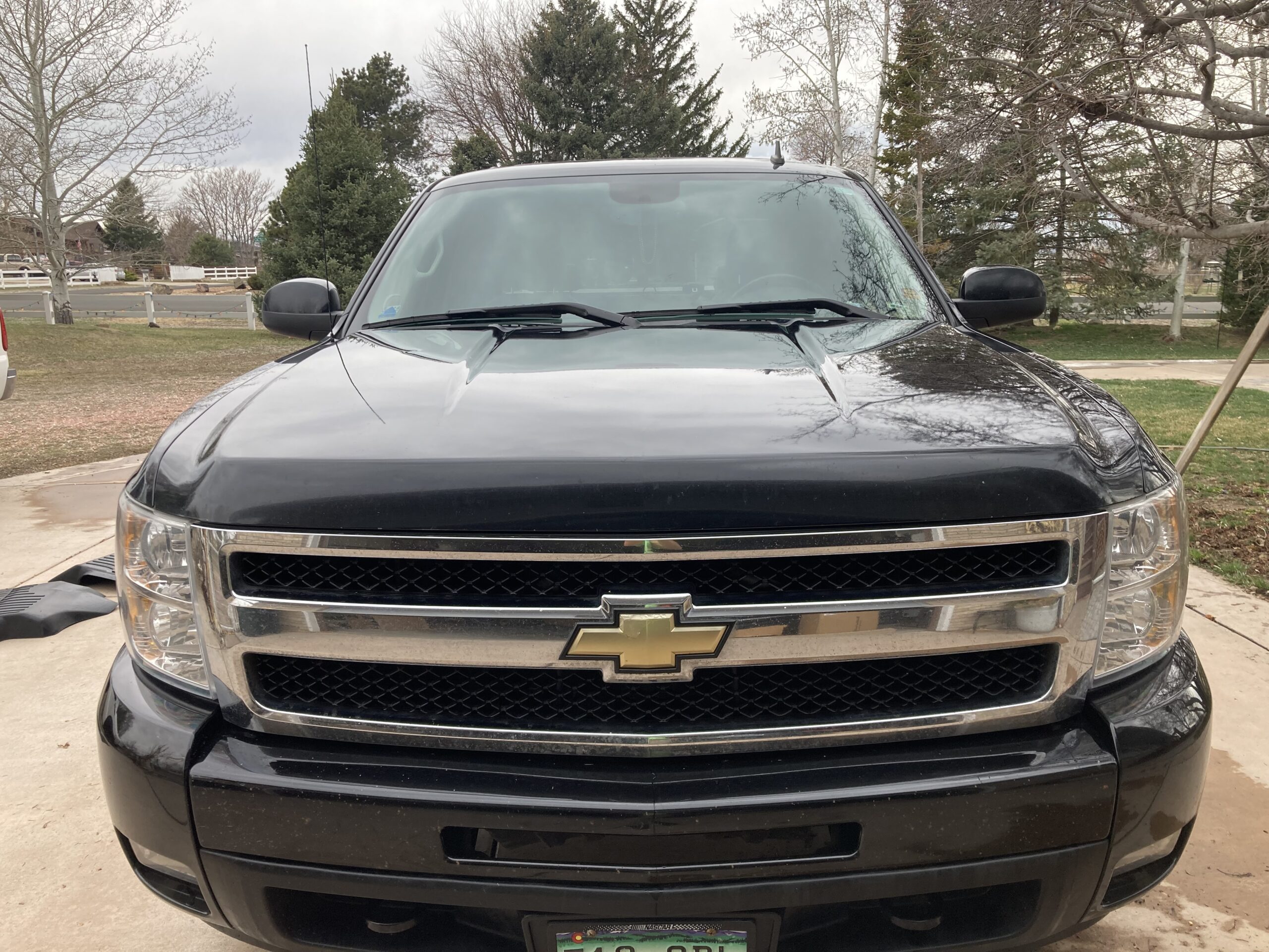 More photos: IMG_0214