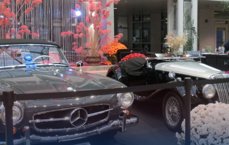 Albany car show